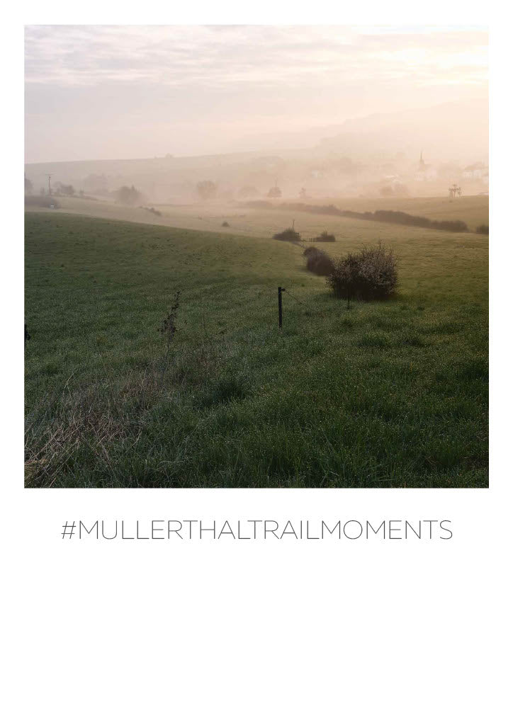 Mullerthal Trail Moments Postkarte "Aussicht"