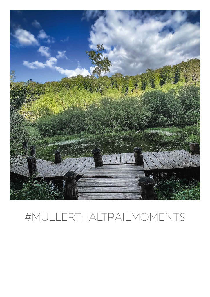 Mullerthal Trail Moments Postkarte "Brücken"