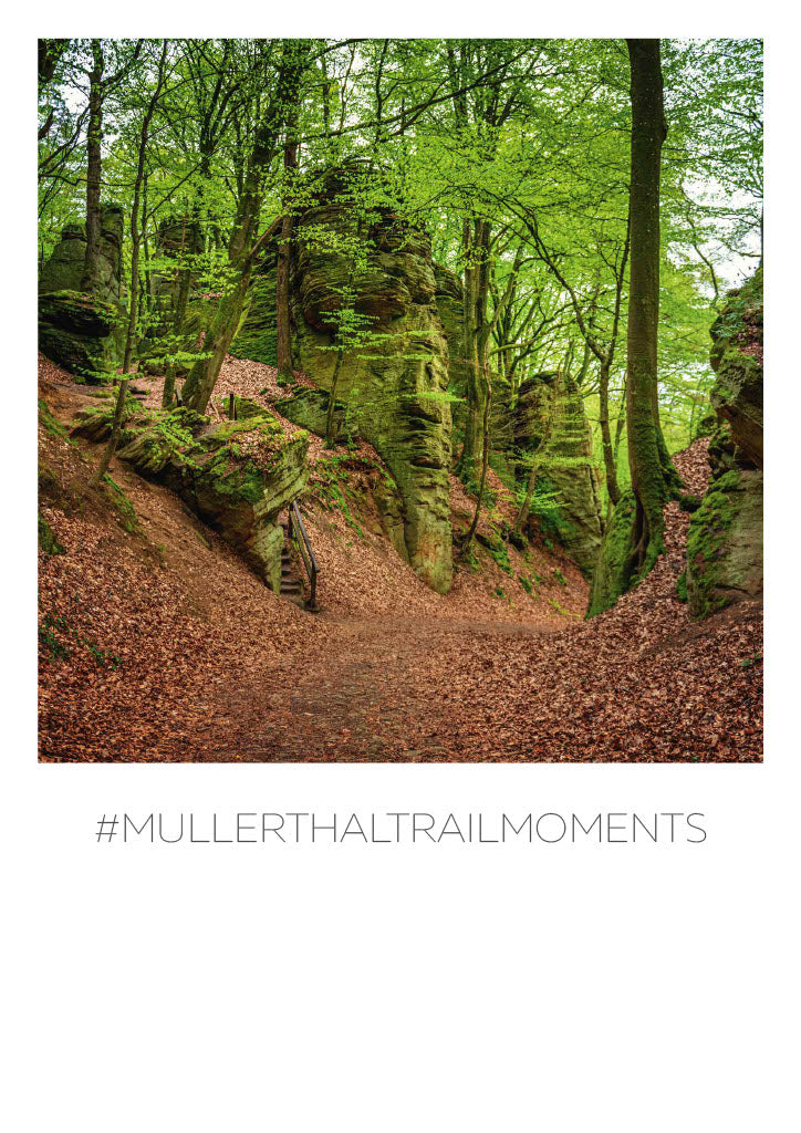 Mullerthal Trail Moments Postkarte "Natur"