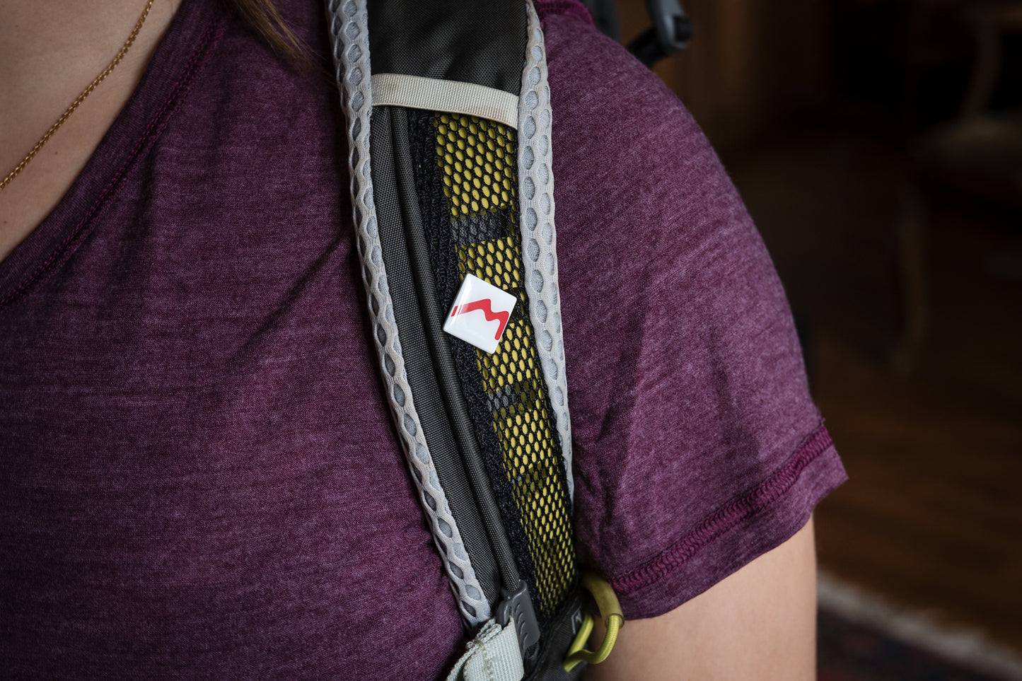 Mullerthal Trail Pin
